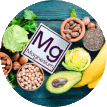 Advanced Mitochondrial Formula Ingredients